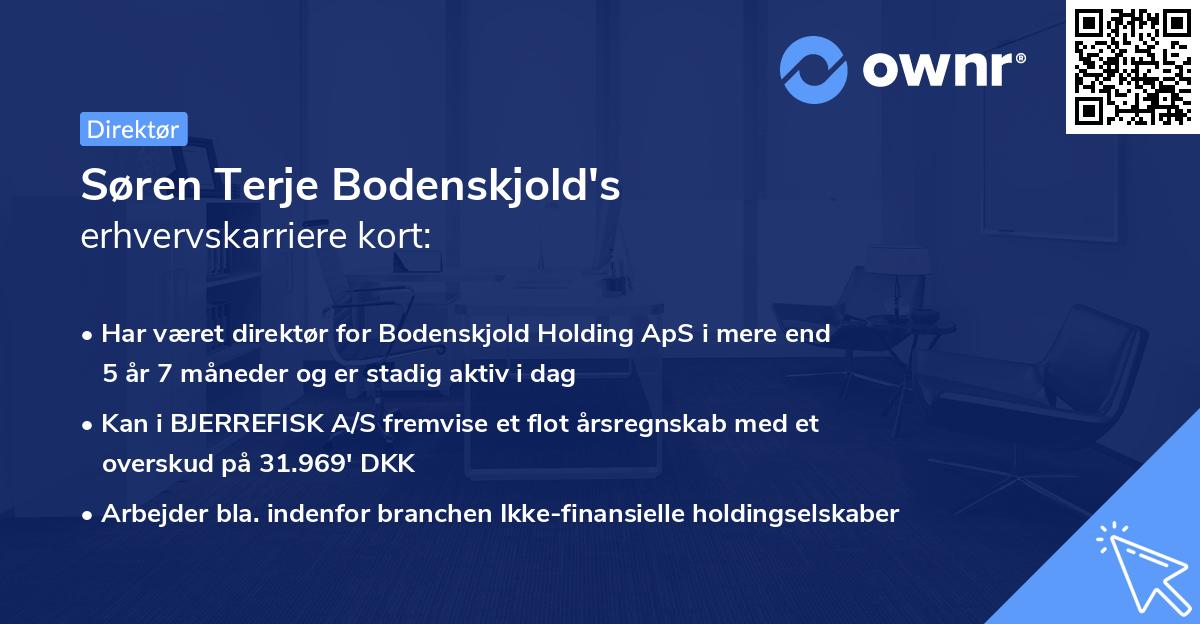 Søren Terje Bodenskjold's erhvervskarriere kort