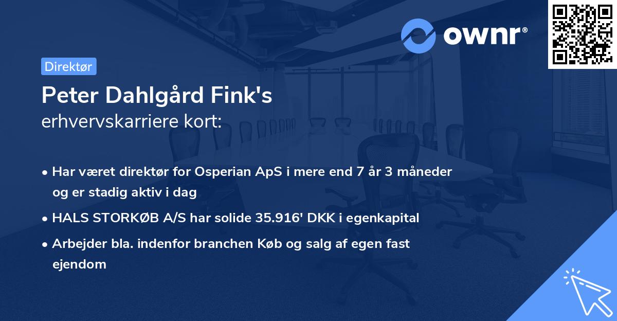Peter Dahlgård Fink's erhvervskarriere kort