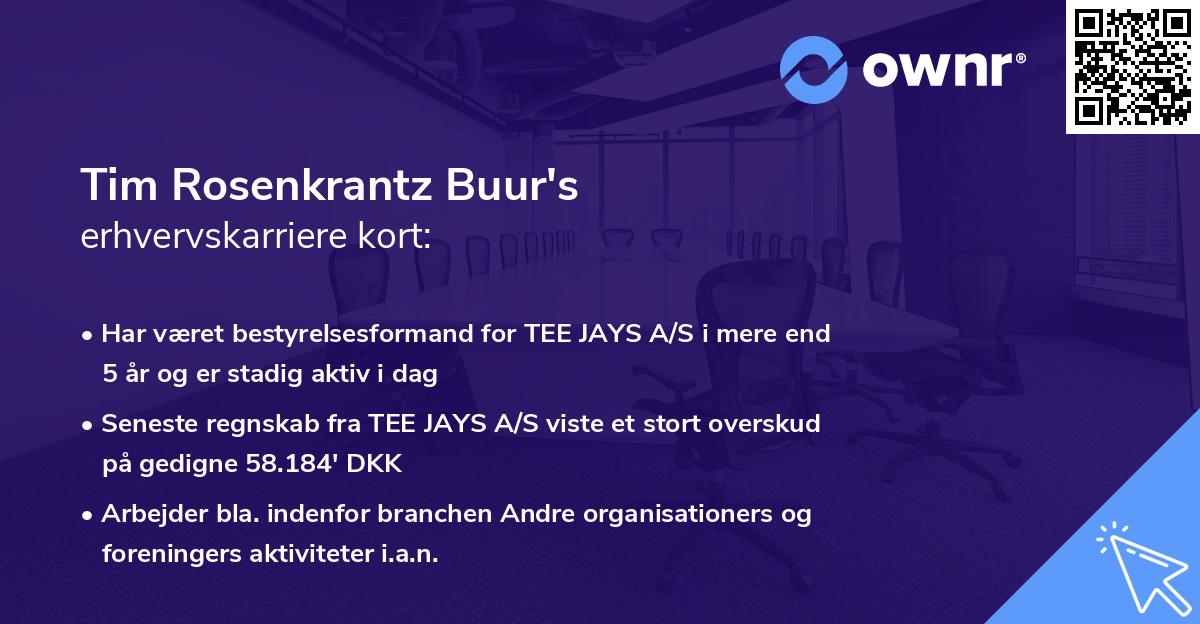 Tim Rosenkrantz Buur's erhvervskarriere kort