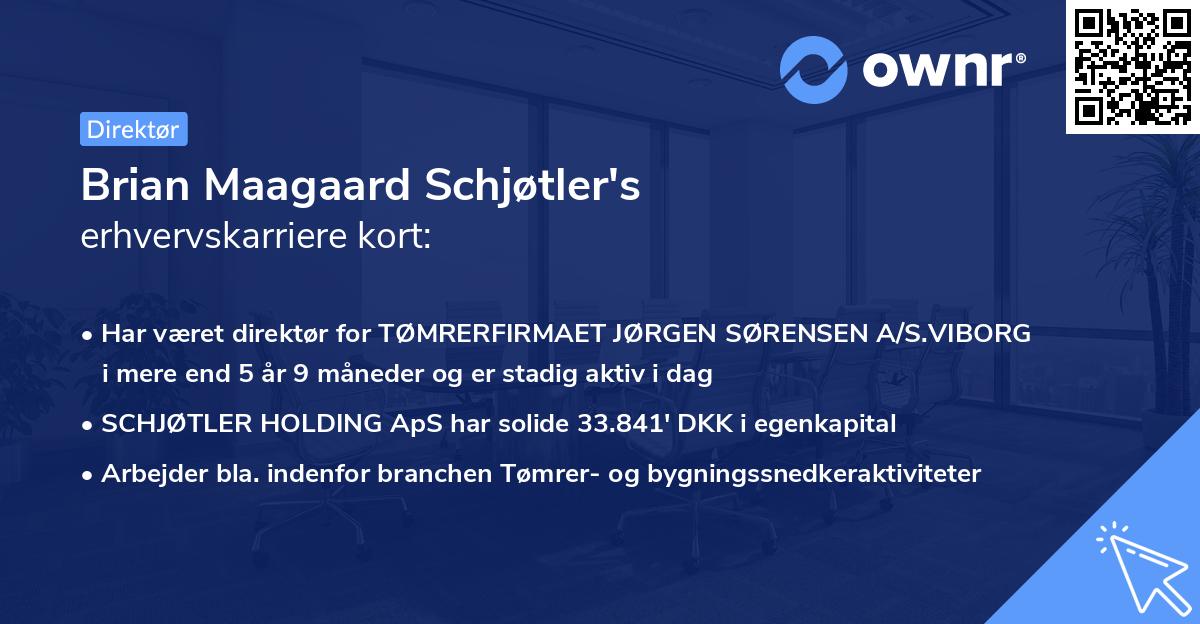 Brian Maagaard Schjøtler's erhvervskarriere kort