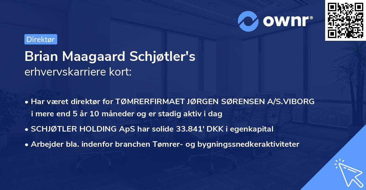 Brian Maagaard Schjøtler's erhvervskarriere kort