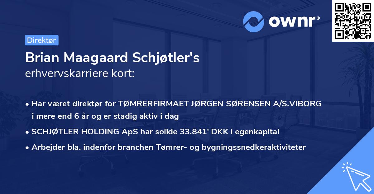Brian Maagaard Schjøtler's erhvervskarriere kort