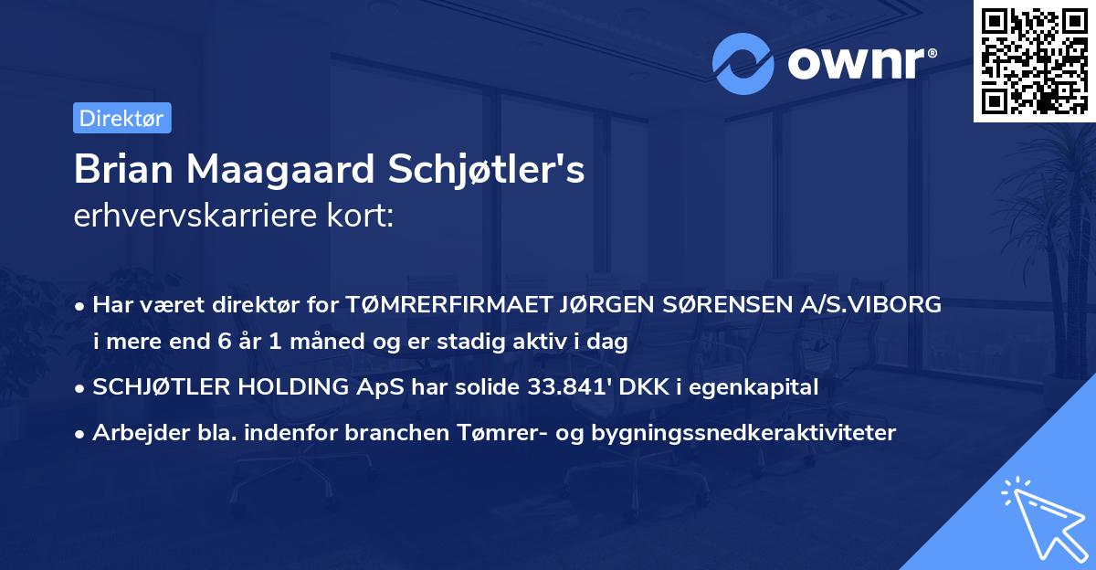 Brian Maagaard Schjøtler's erhvervskarriere kort