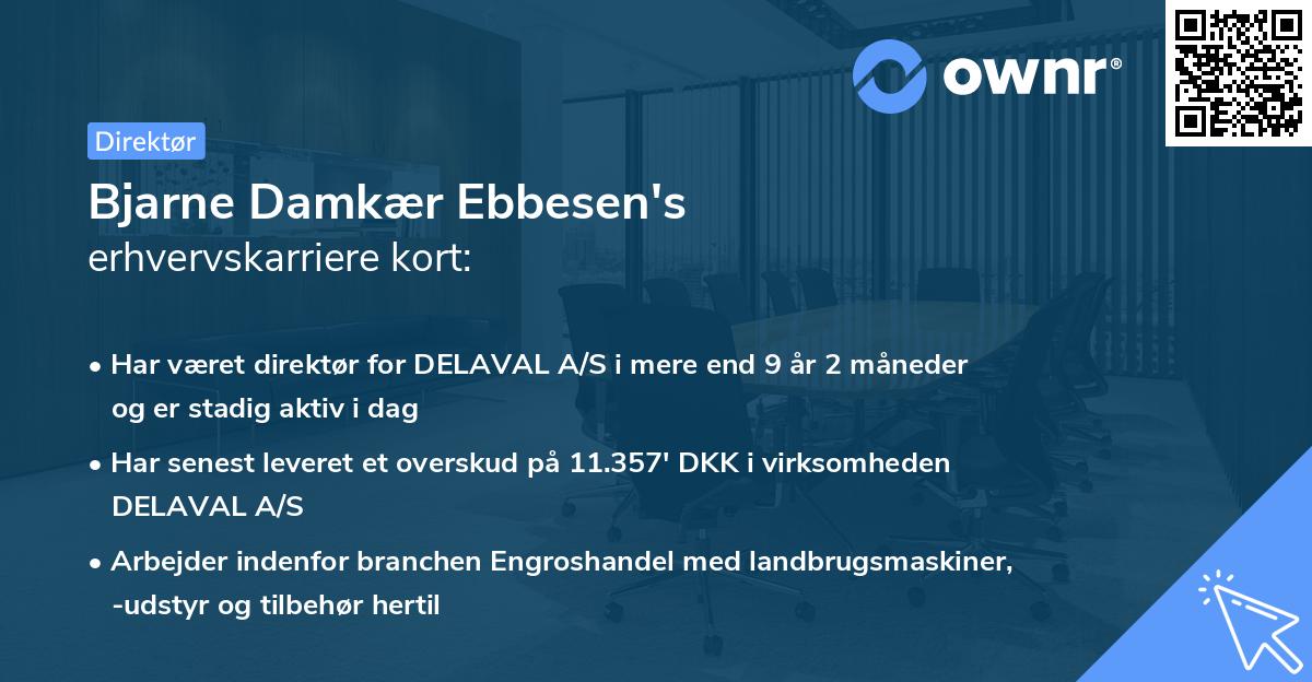 Bjarne Damkær Ebbesen's erhvervskarriere kort