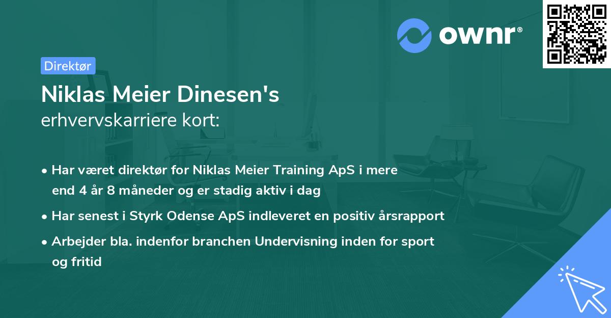 Niklas Meier Dinesen's erhvervskarriere kort