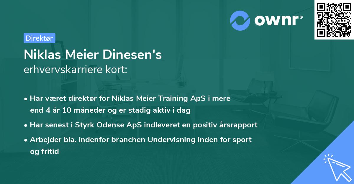 Niklas Meier Dinesen's erhvervskarriere kort