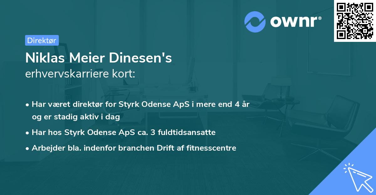 Niklas Meier Dinesen's erhvervskarriere kort