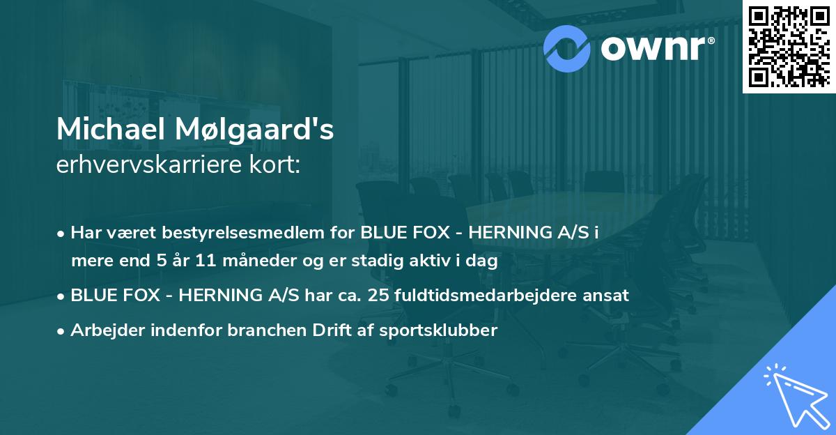 Michael Mølgaard's erhvervskarriere kort