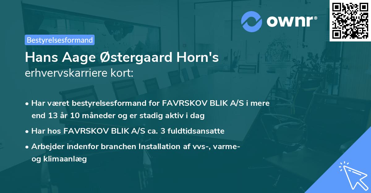 Hans Aage Østergaard Horn's erhvervskarriere kort