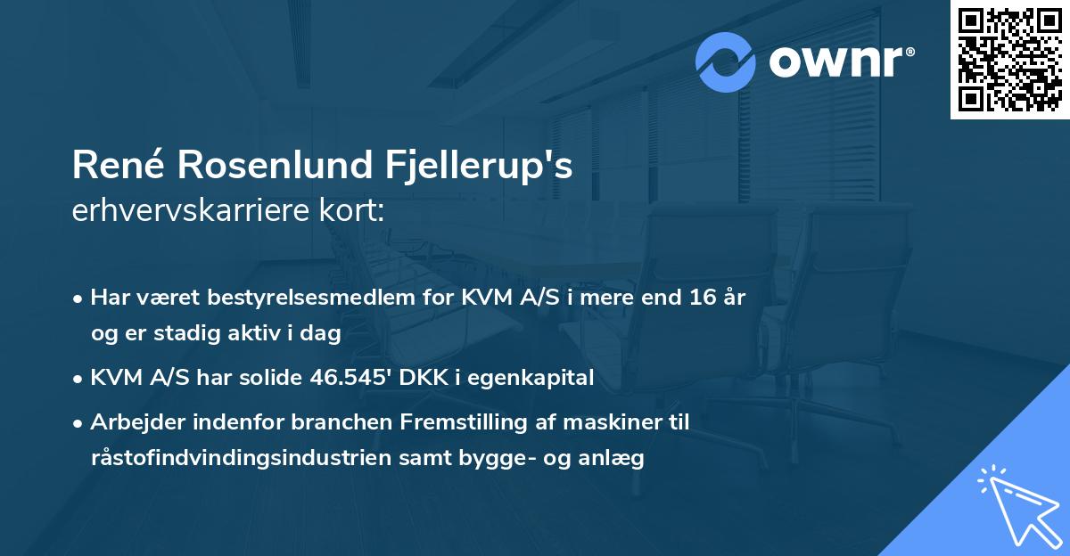 René Rosenlund Fjellerup's erhvervskarriere kort