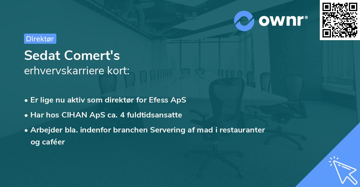 Sedat Comert's erhvervskarriere kort