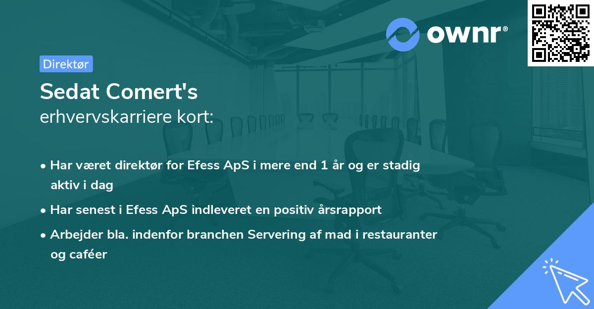 Sedat Comert's erhvervskarriere kort