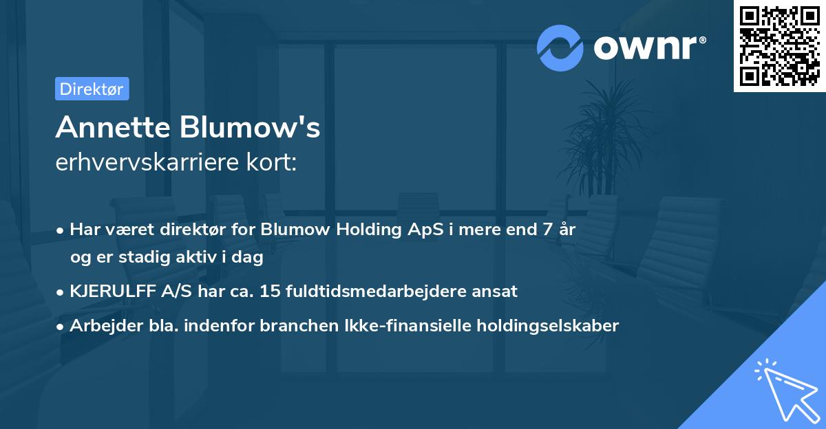 Annette Blumow's erhvervskarriere kort