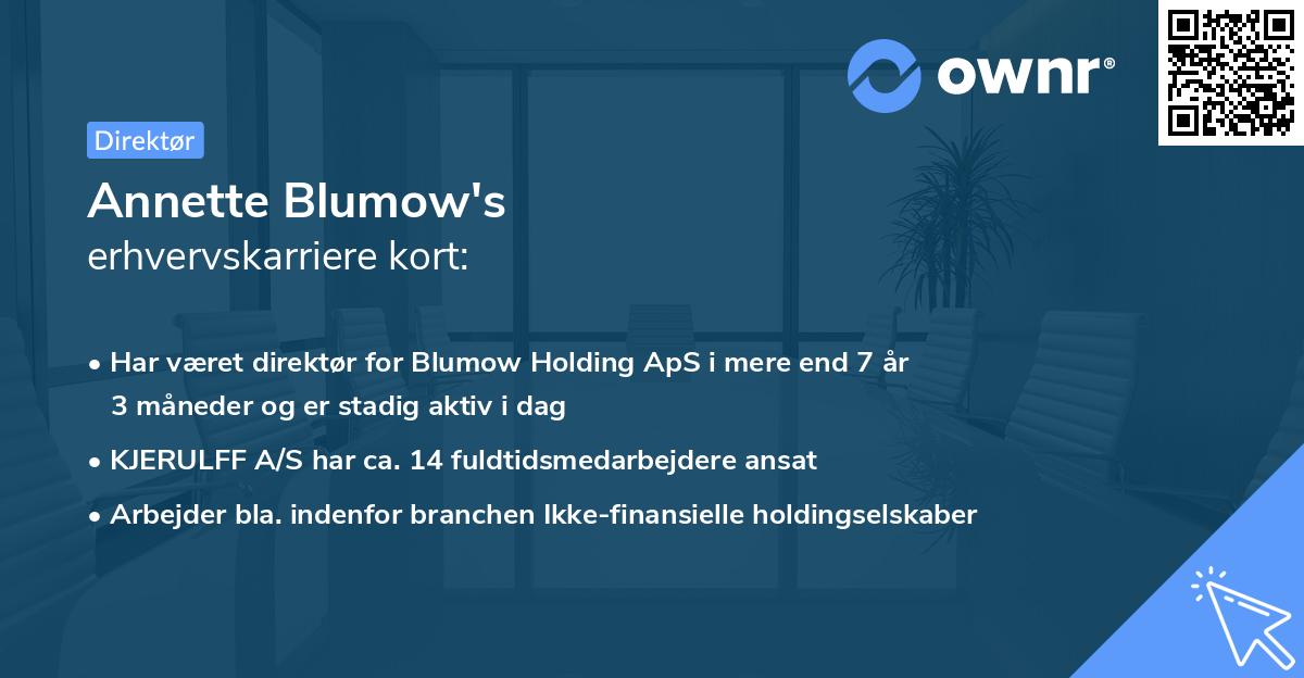 Annette Blumow's erhvervskarriere kort