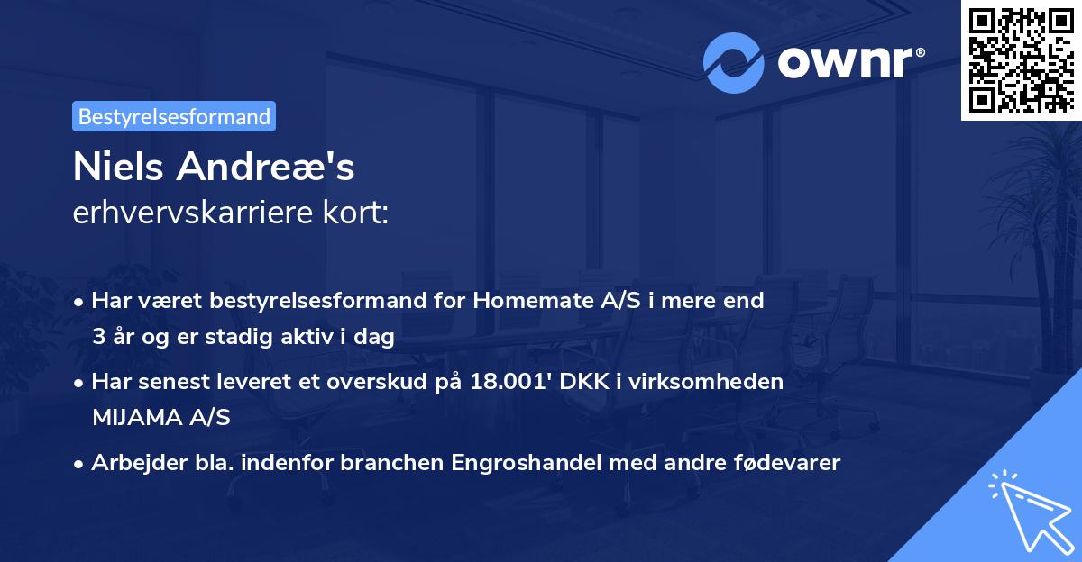 Niels Andreæ's erhvervskarriere kort
