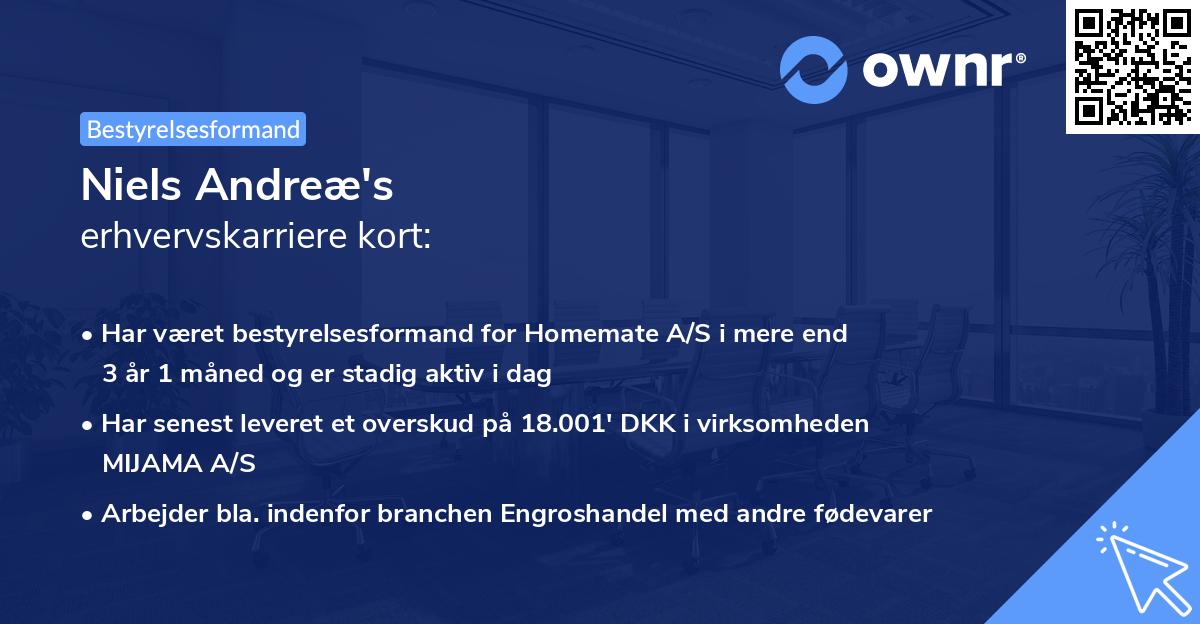 Niels Andreæ's erhvervskarriere kort