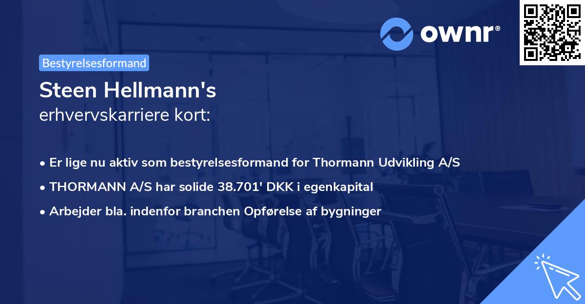 Steen Hellmann's erhvervskarriere kort
