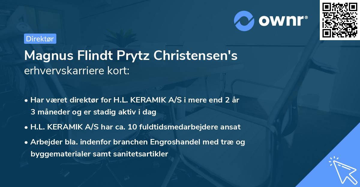 Magnus Flindt Prytz Christensen's erhvervskarriere kort