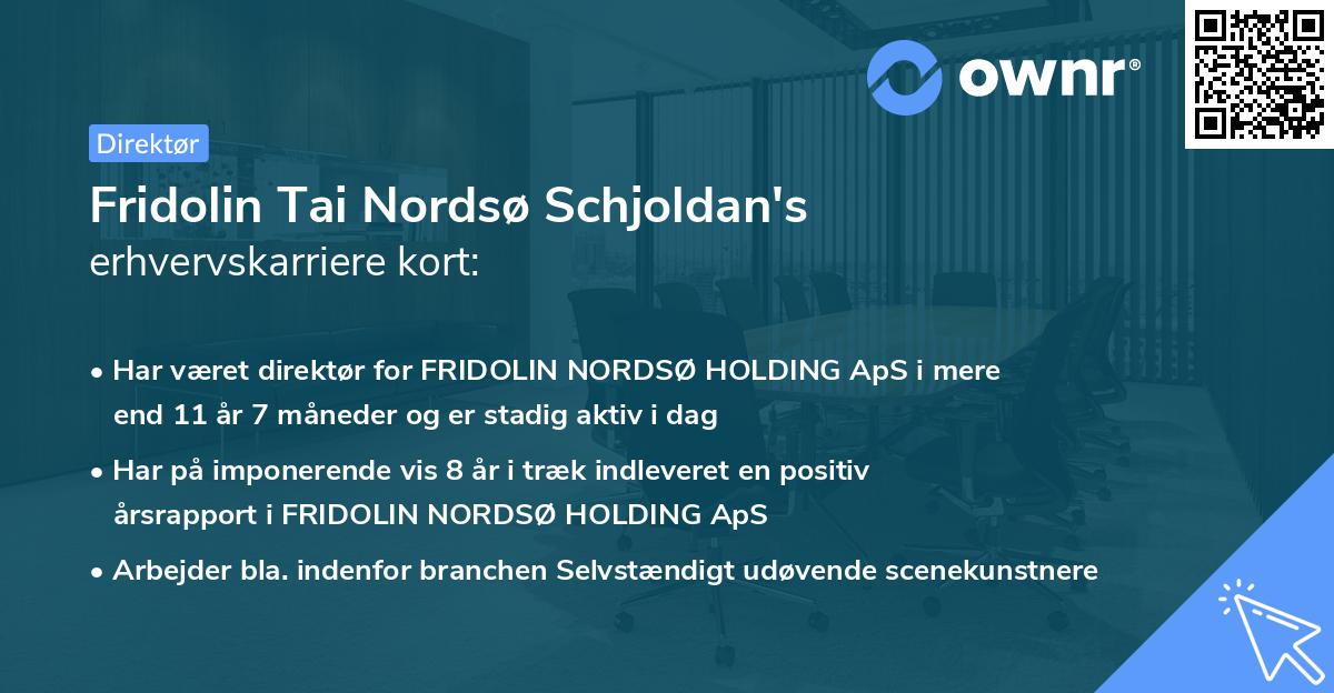 Fridolin Tai Nordsø Schjoldan's erhvervskarriere kort