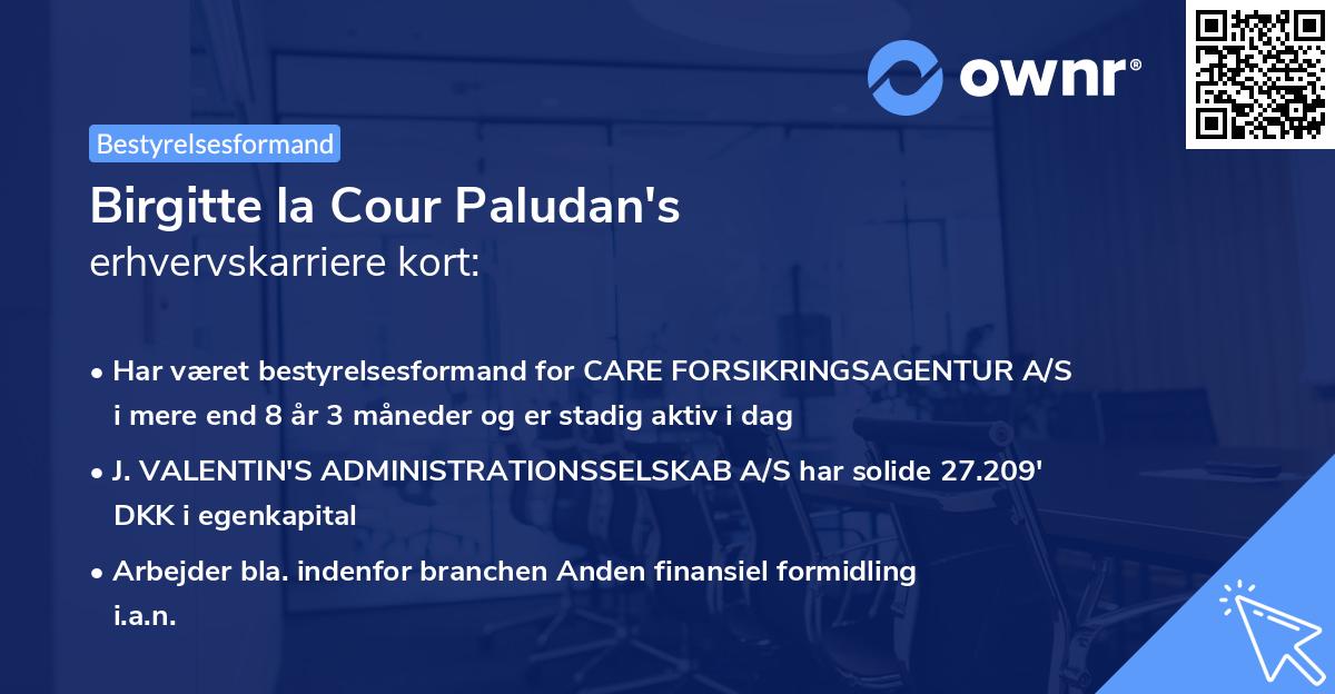 Birgitte la Cour Paludan's erhvervskarriere kort