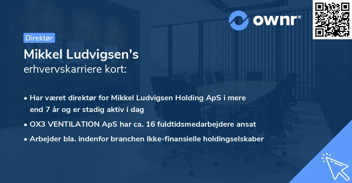 Mikkel Ludvigsen's erhvervskarriere kort