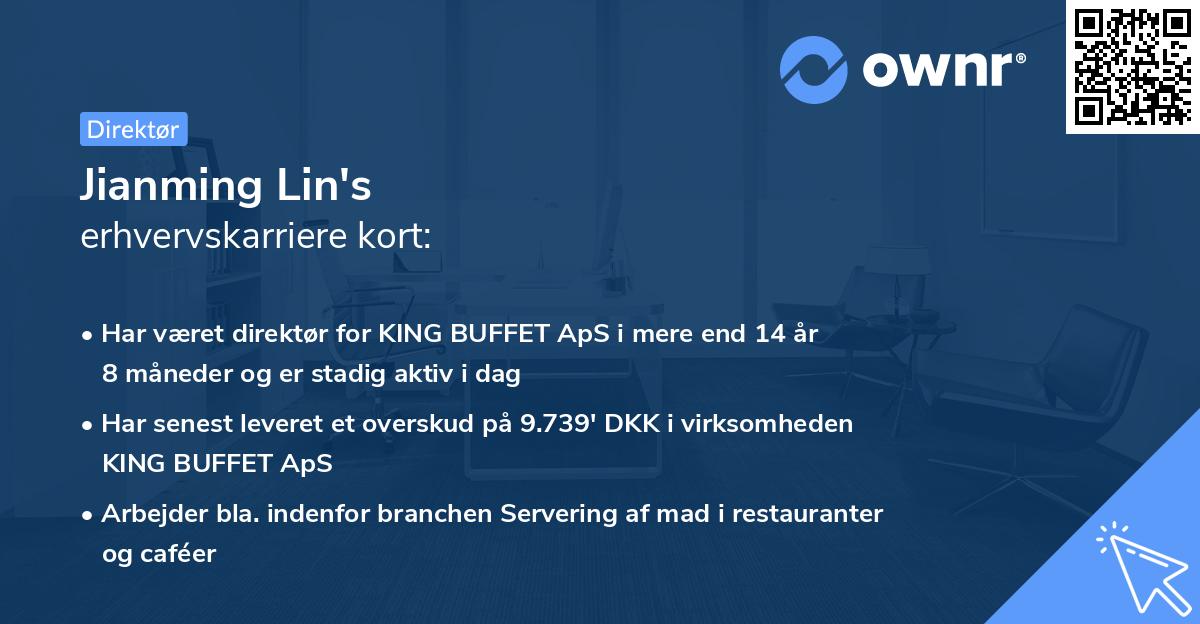 Jianming Lin's erhvervskarriere kort