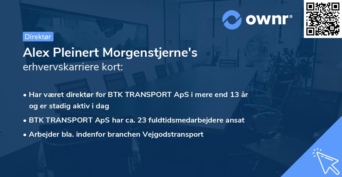 Alex Pleinert Morgenstjerne's erhvervskarriere kort