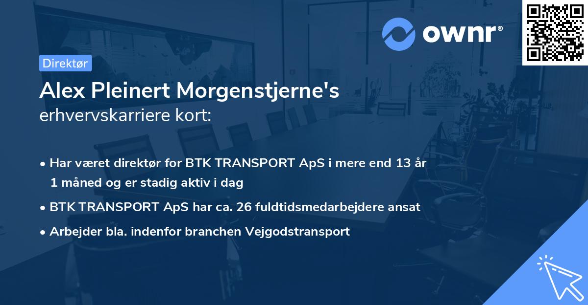 Alex Pleinert Morgenstjerne's erhvervskarriere kort