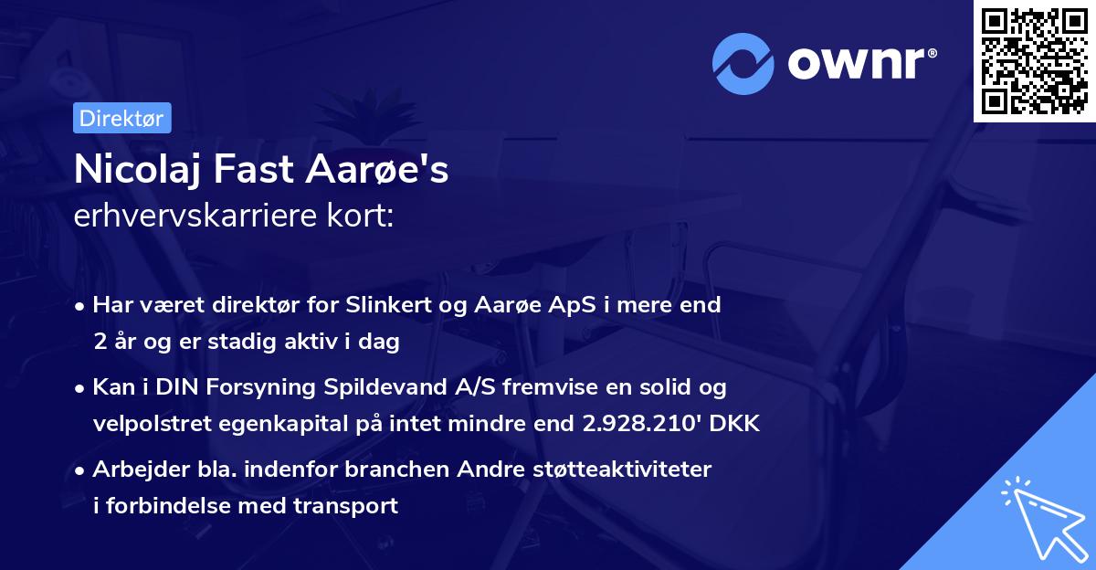 Nicolaj Fast Aarøe's erhvervskarriere kort