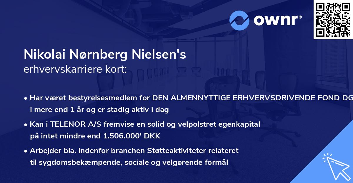 Nikolai Nørnberg Nielsen's erhvervskarriere kort