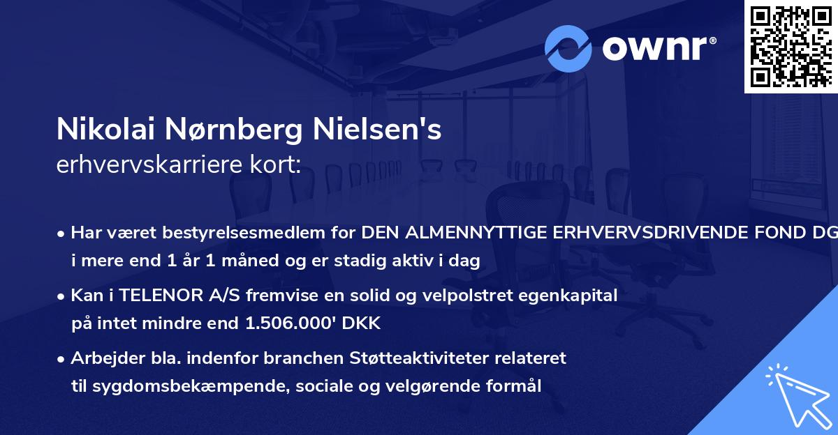 Nikolai Nørnberg Nielsen's erhvervskarriere kort