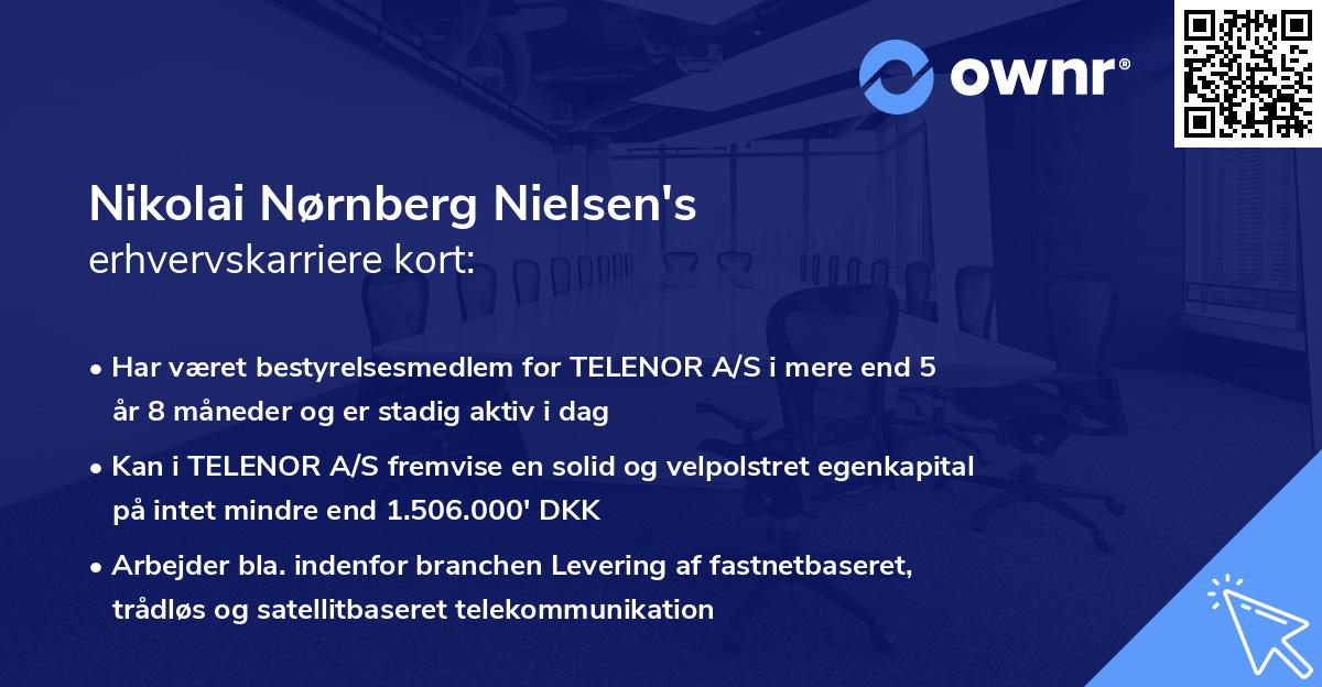 Nikolai Nørnberg Nielsen's erhvervskarriere kort