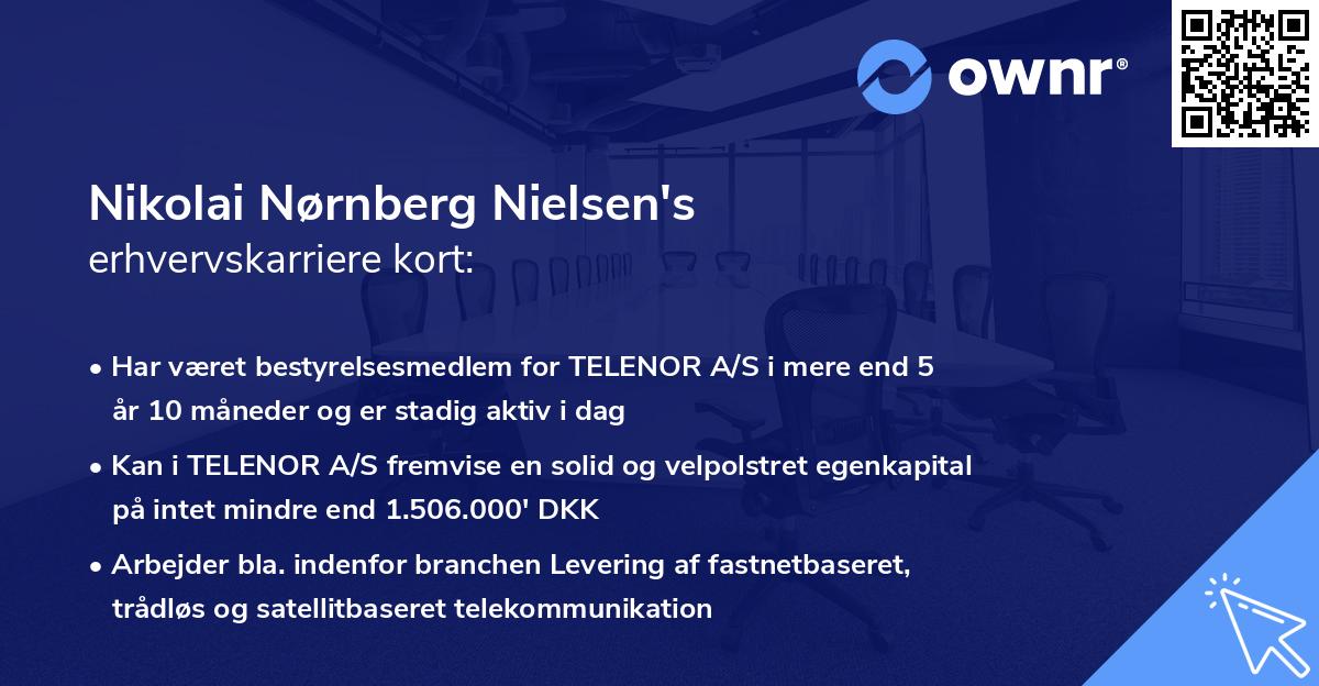 Nikolai Nørnberg Nielsen's erhvervskarriere kort