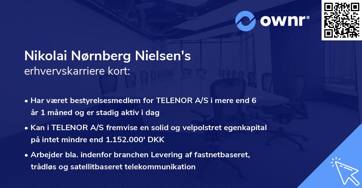 Nikolai Nørnberg Nielsen's erhvervskarriere kort