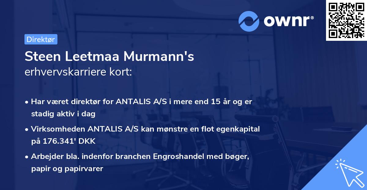 Steen Leetmaa Murmann's erhvervskarriere kort