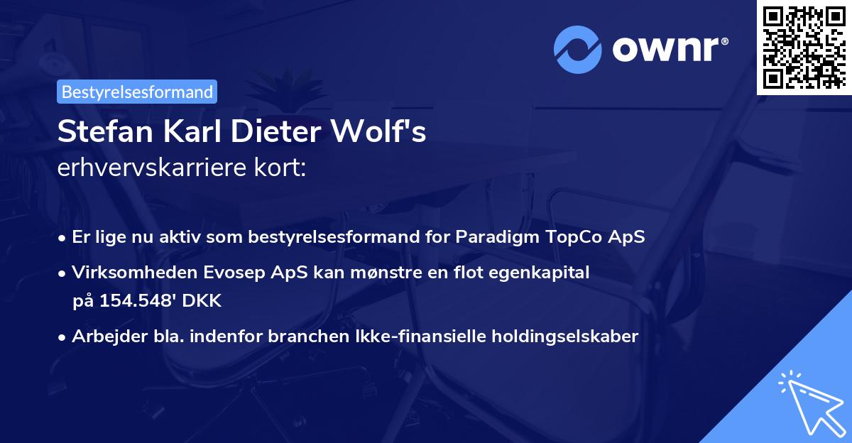 Stefan Karl Dieter Wolf's erhvervskarriere kort