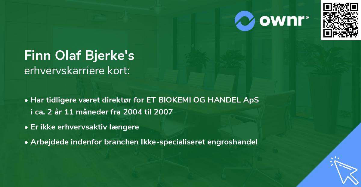 Finn Olaf Bjerke's erhvervskarriere kort