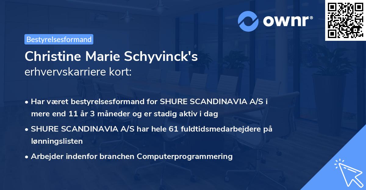 Christine Marie Schyvinck's erhvervskarriere kort