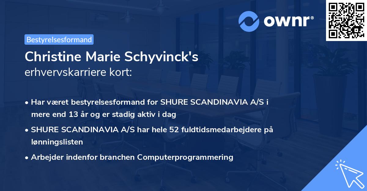 Christine Marie Schyvinck's erhvervskarriere kort