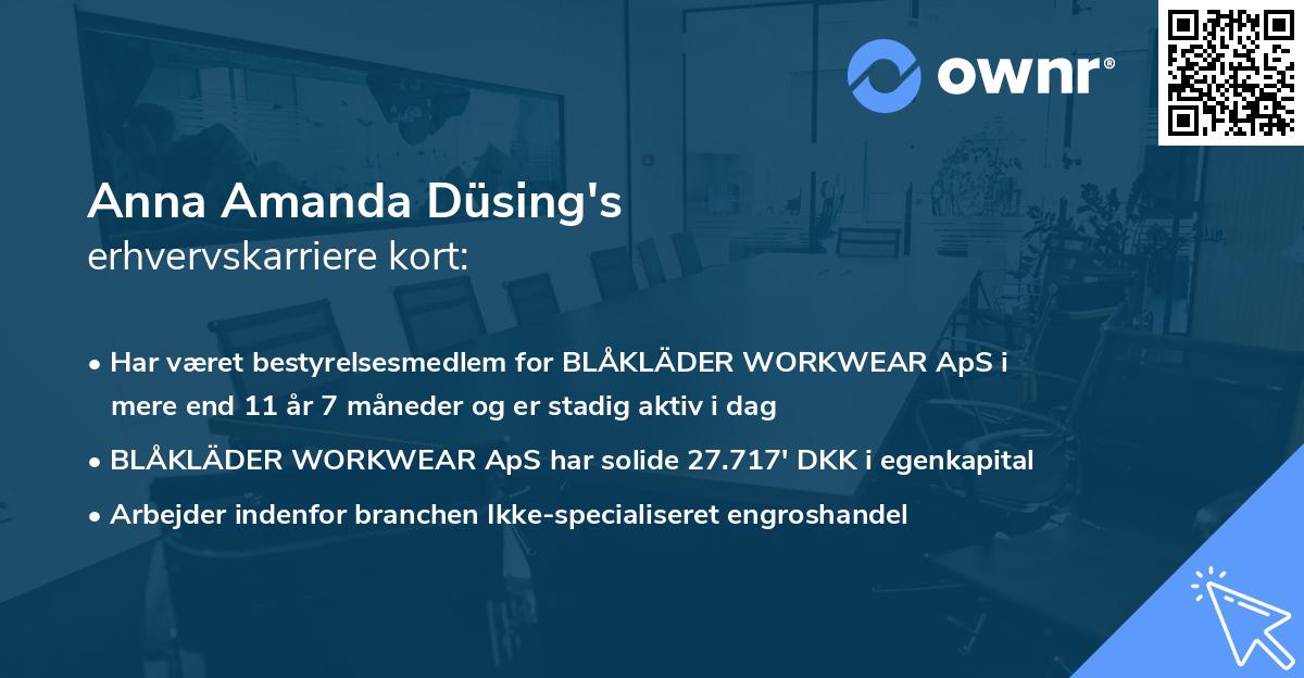 Anna Amanda Düsing's erhvervskarriere kort
