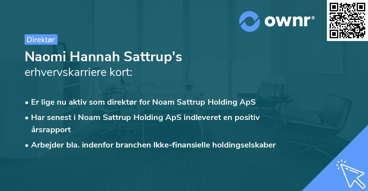Naomi Hannah Sattrup's erhvervskarriere kort