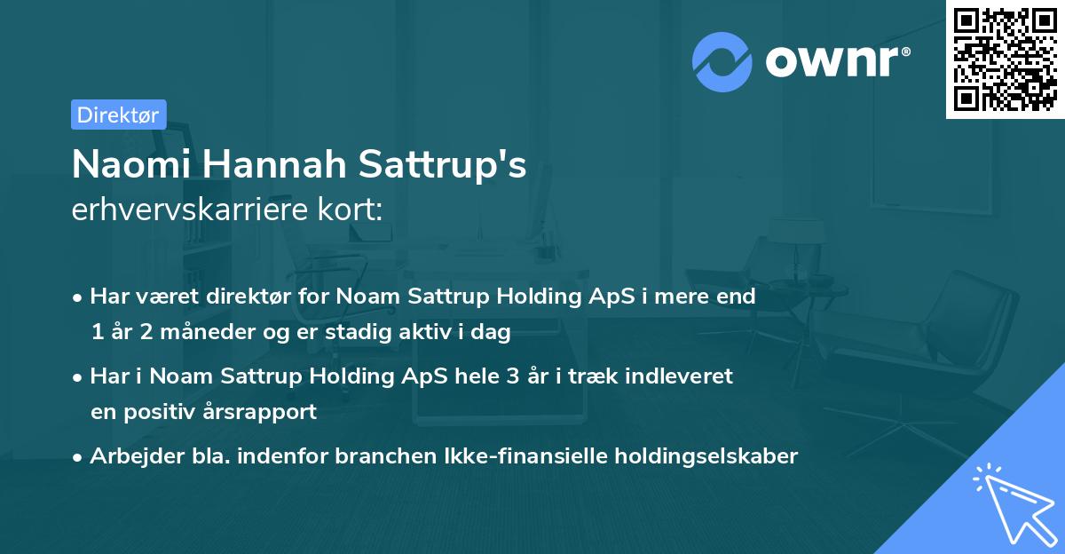 Naomi Hannah Sattrup's erhvervskarriere kort