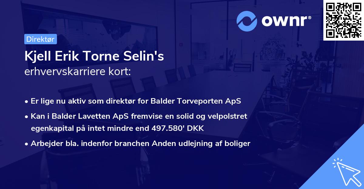 Kjell Erik Torne Selin's erhvervskarriere kort
