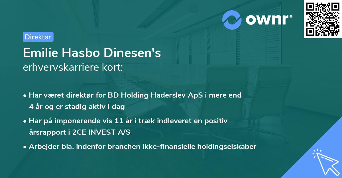Emilie Hasbo Dinesen's erhvervskarriere kort