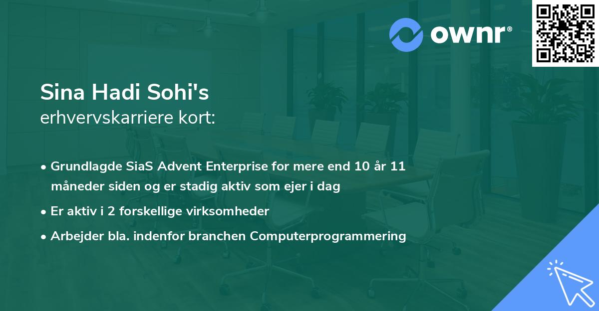 Sina Hadi Sohi's erhvervskarriere kort