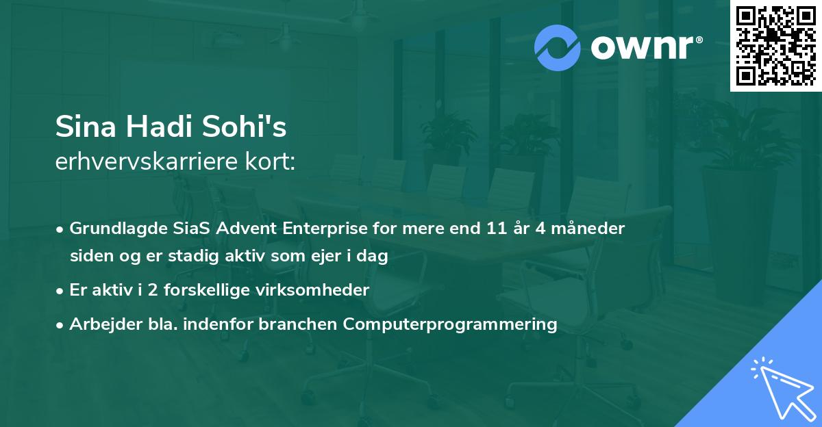 Sina Hadi Sohi's erhvervskarriere kort