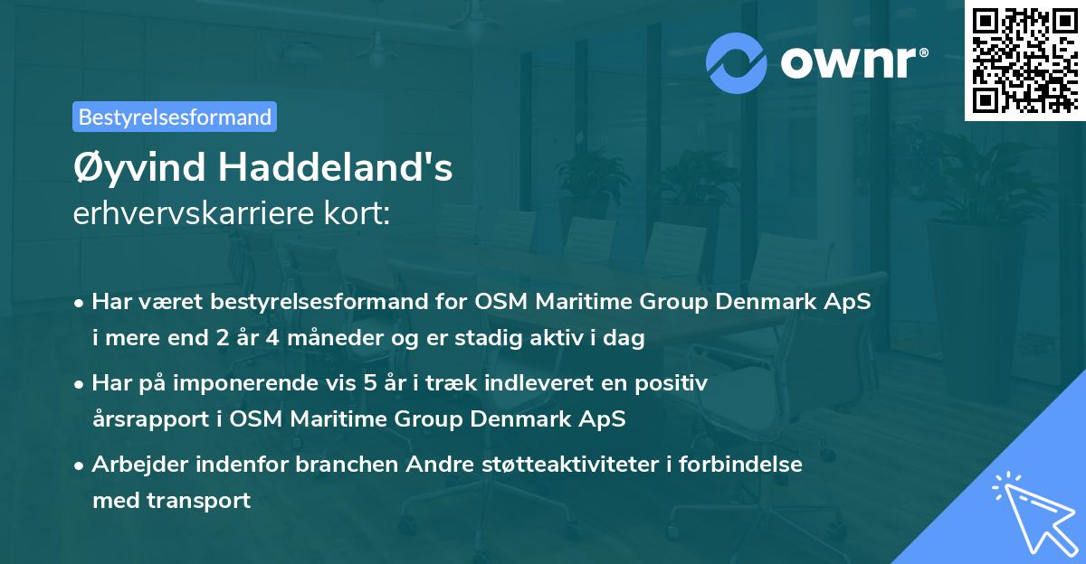 Øyvind Haddeland's erhvervskarriere kort
