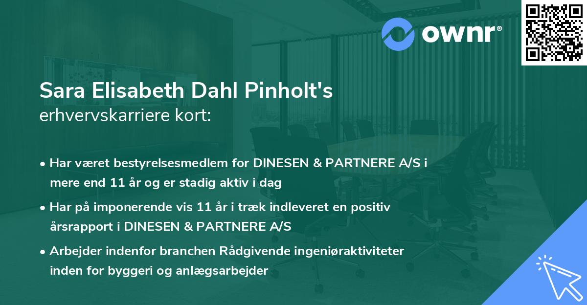 Sara Elisabeth Dahl Pinholt's erhvervskarriere kort