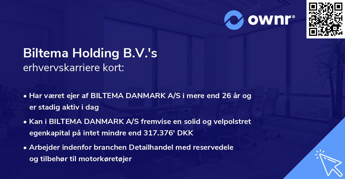 Biltema Holding B.V.'s erhvervskarriere kort