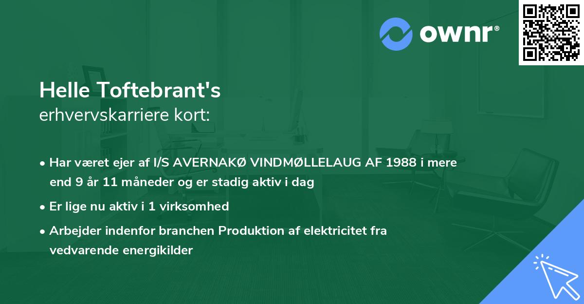 Helle Toftebrant's erhvervskarriere kort